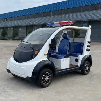 Electric sightseeing patrol car