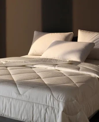 Hotel Antibacterial Feather Silk Quilt