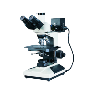 Upright Metallurgical Microscope