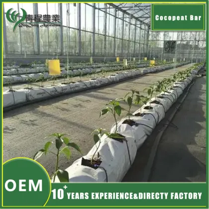 Coco Peat Soil Greenhouse Accessories