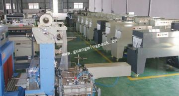 Shrinking Machine Wrapping Machine, Sealing and Shrinking Machine