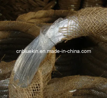 Galvanized Iron Wire (WJ-2863)