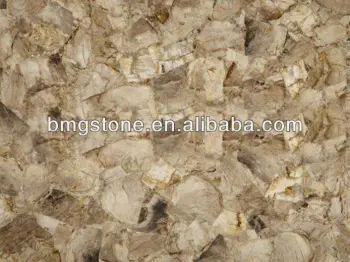 Chinese Marble Slab White Petrifide Wood