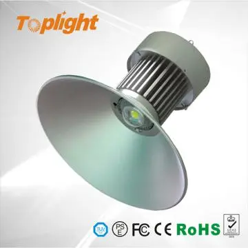 LED 50W Industial Light