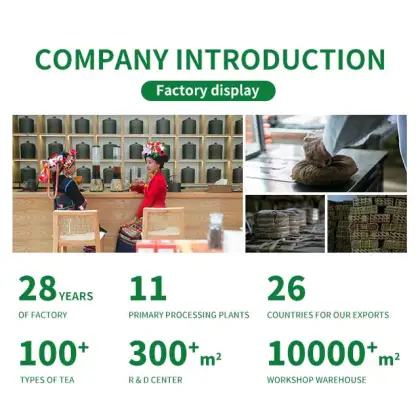 Biluo Chunchun Green Tea: Quality Ingredients, Customized Selection