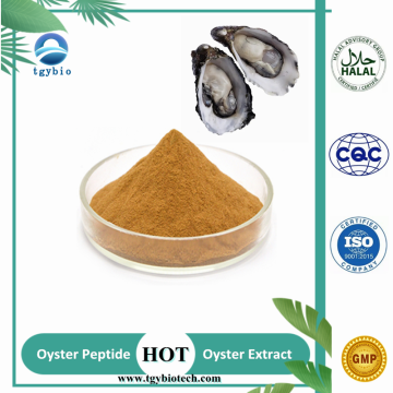 Supply Oyster Meat Extract Powder 98% Oyster Peptide