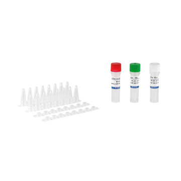 Gefriergetrocknetes Echtzeit-PCR-Kit für neuartige Coronavirus 2019-NCOV (ORF1AB, N)