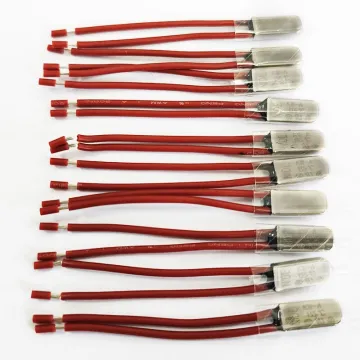 Thermal Protector for Washing Machine Motors: Understanding and Selecting the Right KW Model
