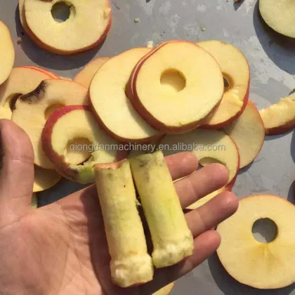 Industrial Apple Pitting Machine: Apple Core Removing Machine