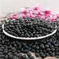 HPS Big Black Beans 6.5mm Natural Grown