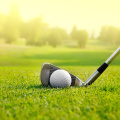 Carpet Grass Price for Golf Course