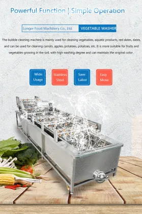 Vegetable and Fruit Cleaning Machine