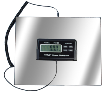 Digital Scale