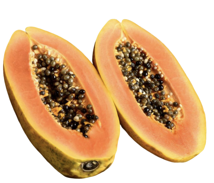 Papain Enzyme Powder