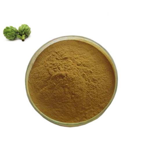 Factory Price Artichoke Extract Cynarin Power