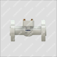 Casting Lift Check Valve