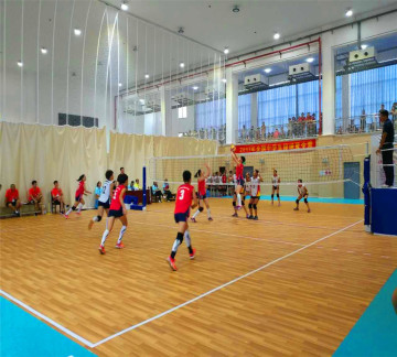 Vinyl Multi-purpose Indoor Sports Flooring