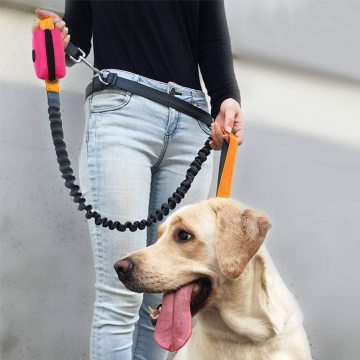 Dog Poop τσάντα Dispenser Custom