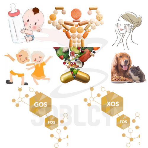 Dairy Prebiotics Short-chain fructooligosaccharides(scfos) powder 95 Factory