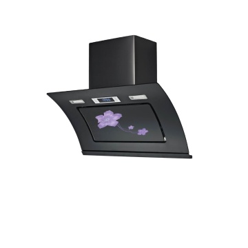 Factory Price Chinese Kitchen Range Hood with Copper Motor