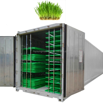 Hydroponic Fodder Barley Sprouting Machine for 100kg Daily Output