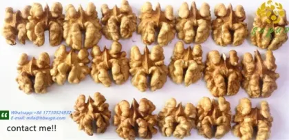 2020 New Crop Walnut Kernels