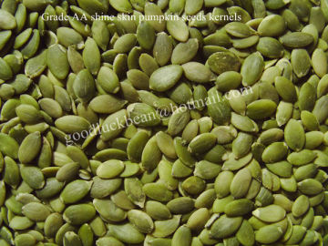 New Crop Chinese Shine Skin Pumpkin Seed Kernels