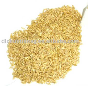 organic oat hulled