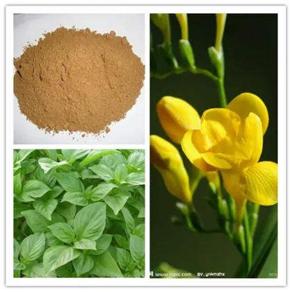 Natural Vanilla Extract Natural Flavors And Fragrances