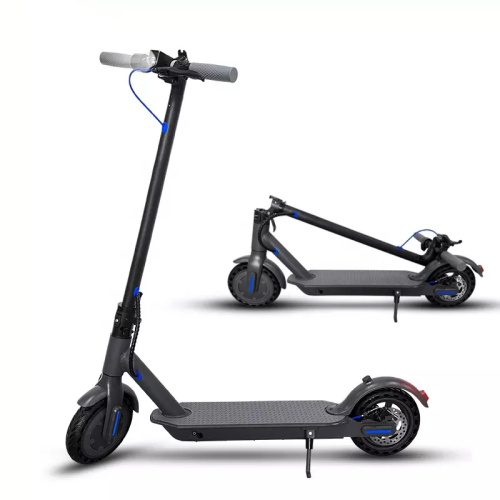 350w Powerful Motor Electric Adult Scooter