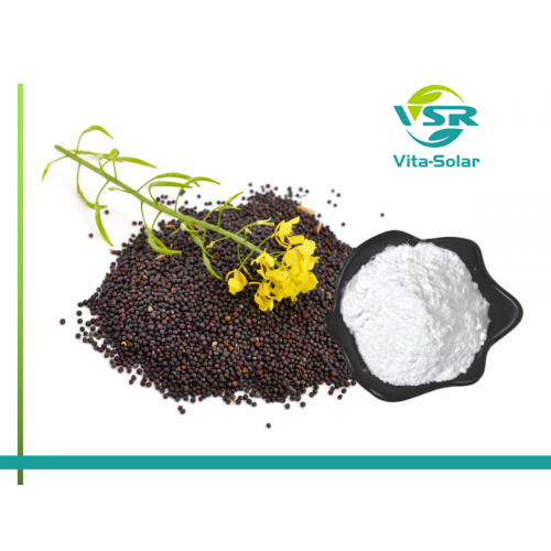 Rapeseeds Plant Sterol ที่มีคุณภาพสูง