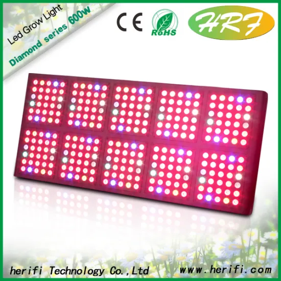 Family flower hydroponic grow led lights