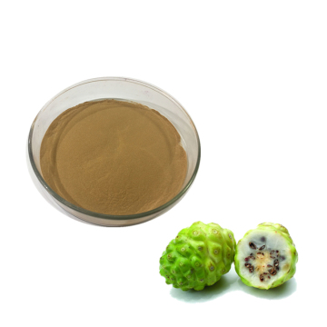 Best noni fruit powder