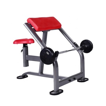 Seated arm blaster biceps curl weightlifting gym bench