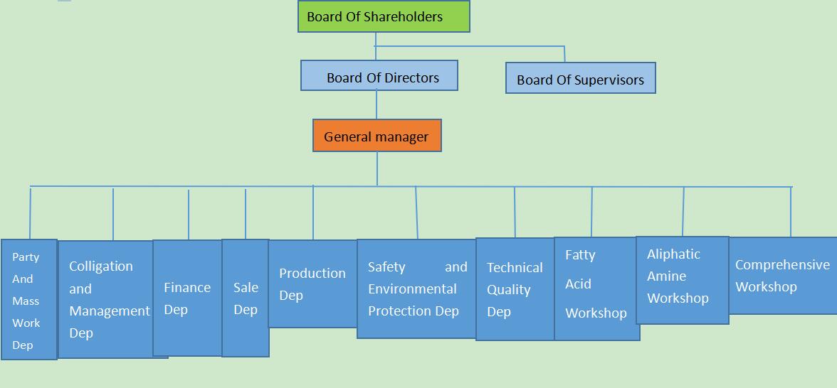 company's organization structure