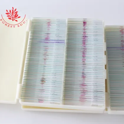 Pathological Slides Set for Higher Education - FRT2002