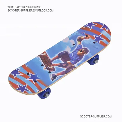 Adult Long Board Skateboard1705