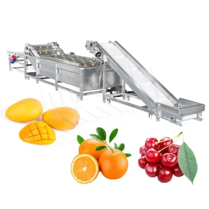 Orange Fruit Washing Machine 5 Ton