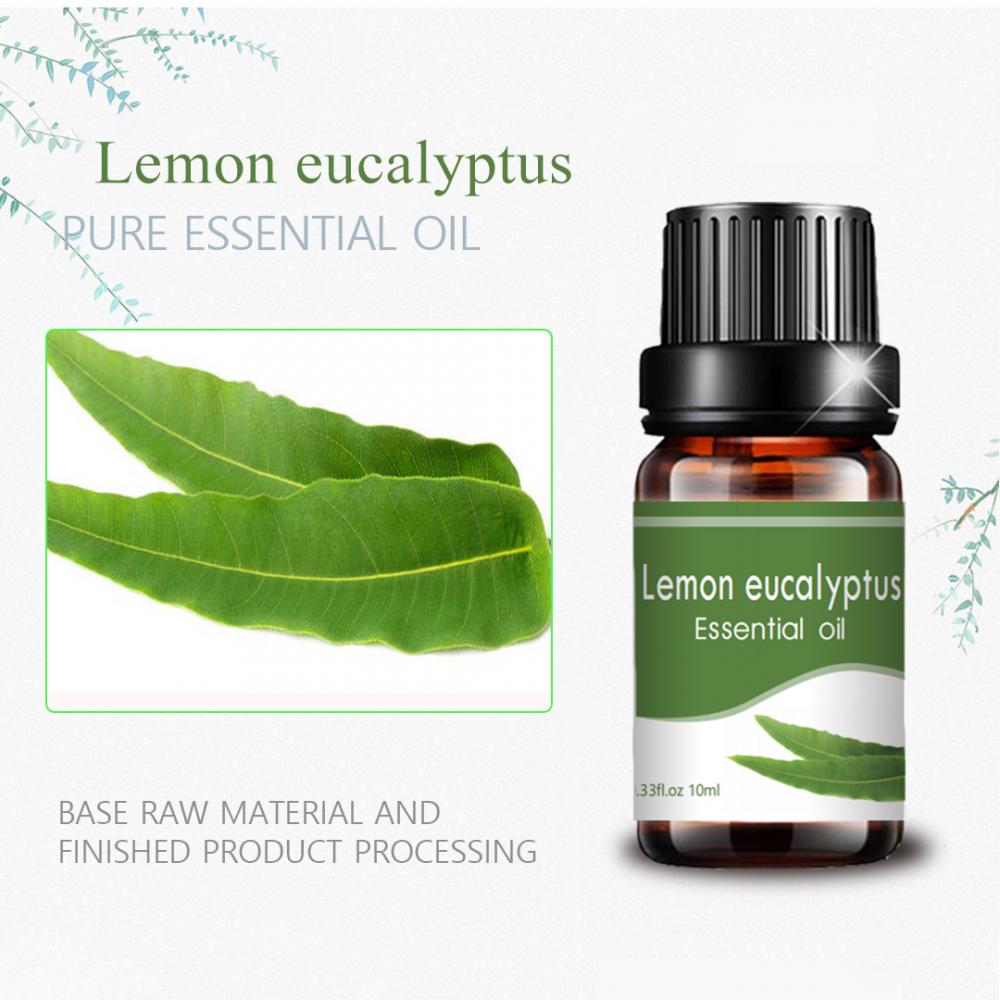 Huile d&#39;eucalyptus au citron thérapeutique en gros de qualité thérapeutique