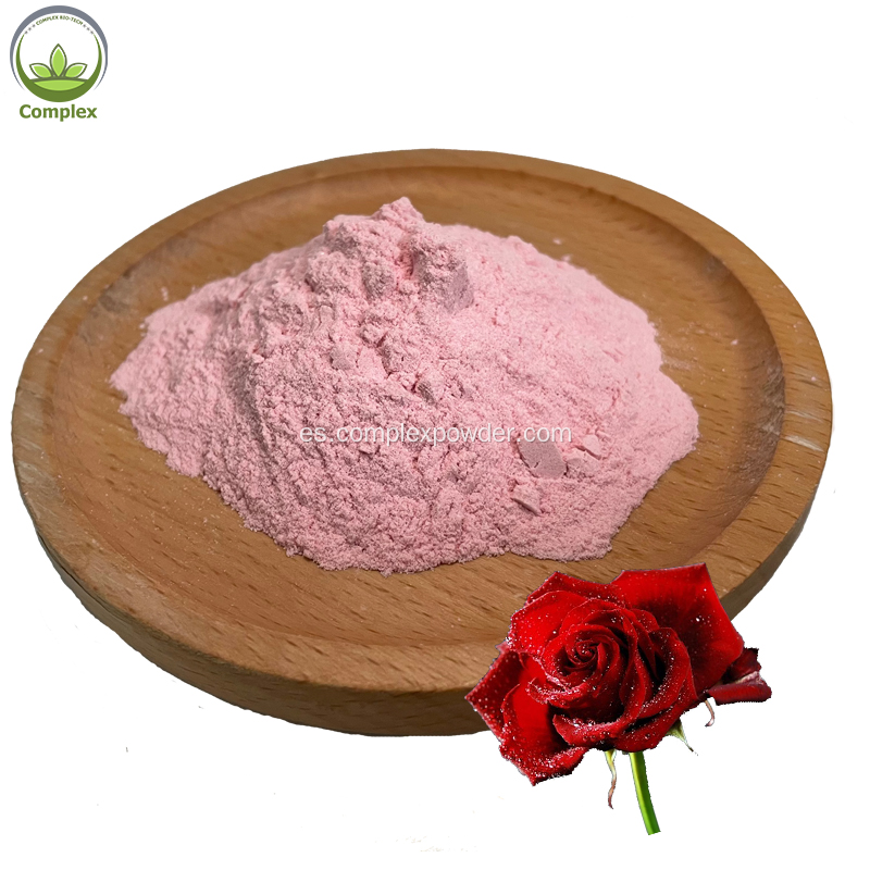 Polvo de extracto de pétalo de rosa polvo de rosa