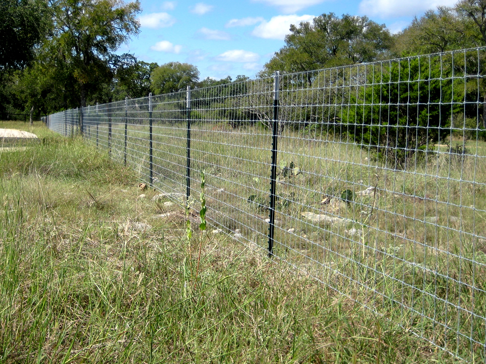 Galvanized Wire Deer Farm Fence for Farm Goat