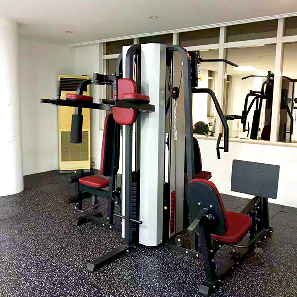 Mutil-station home gym