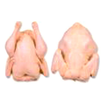Frozen Chickens