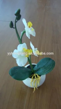 butterfly led lights