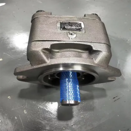 Hydraulic Pumps for Injection Molding Machines: Sunny HG2-125-01R-VPC-F and HYTEK HG1-40-01R-VPC-36