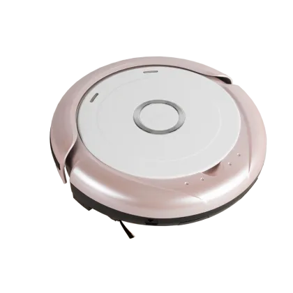 Intelligent sweeping robot home cleaning