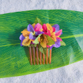 Η Χαβάη Hula προμηθεύει bougainvillea τρίχες χτένα