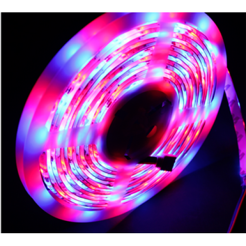 Precio de fábrica RGB flexible SMD3528 llevó la luz de tira