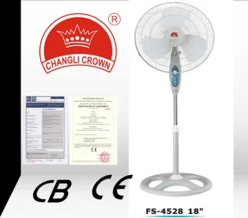 fan with timer
