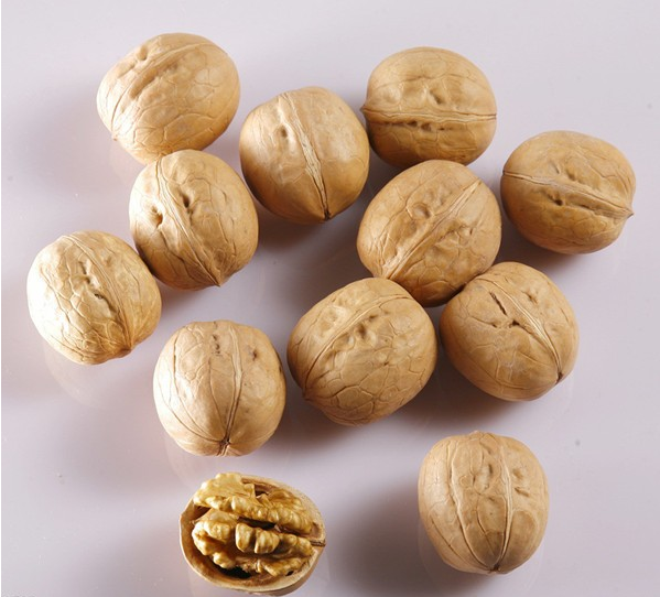 Whole Walnuts in Shell